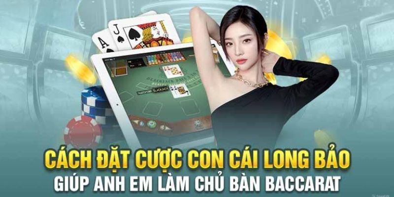 Long Bảo Là Gì? - Giải Nghĩa Chi Tiết Trong Baccarat 2026 3 Địa điểm đặt cược long bảo uy tín