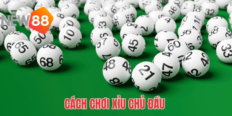 Xỉu Chủ Là Gì? - Cách Chơi & Soi Cầu Hiệu Quả Từ NEW88 2026 2 Chủ đặc biệt chỉ áp dụng cho giải đặc biệt, còn gọi là 3 càng